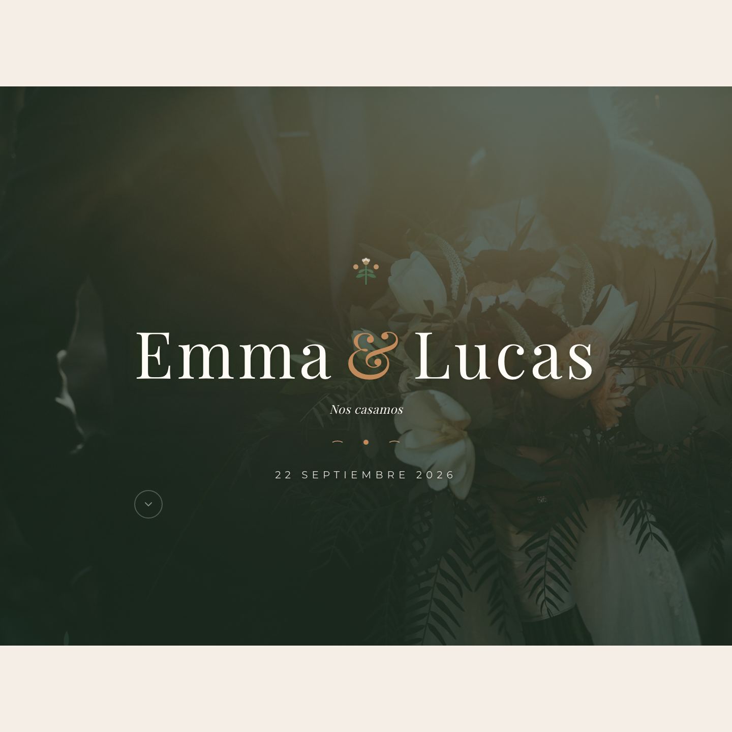 3) Estilo Botánico/Natural