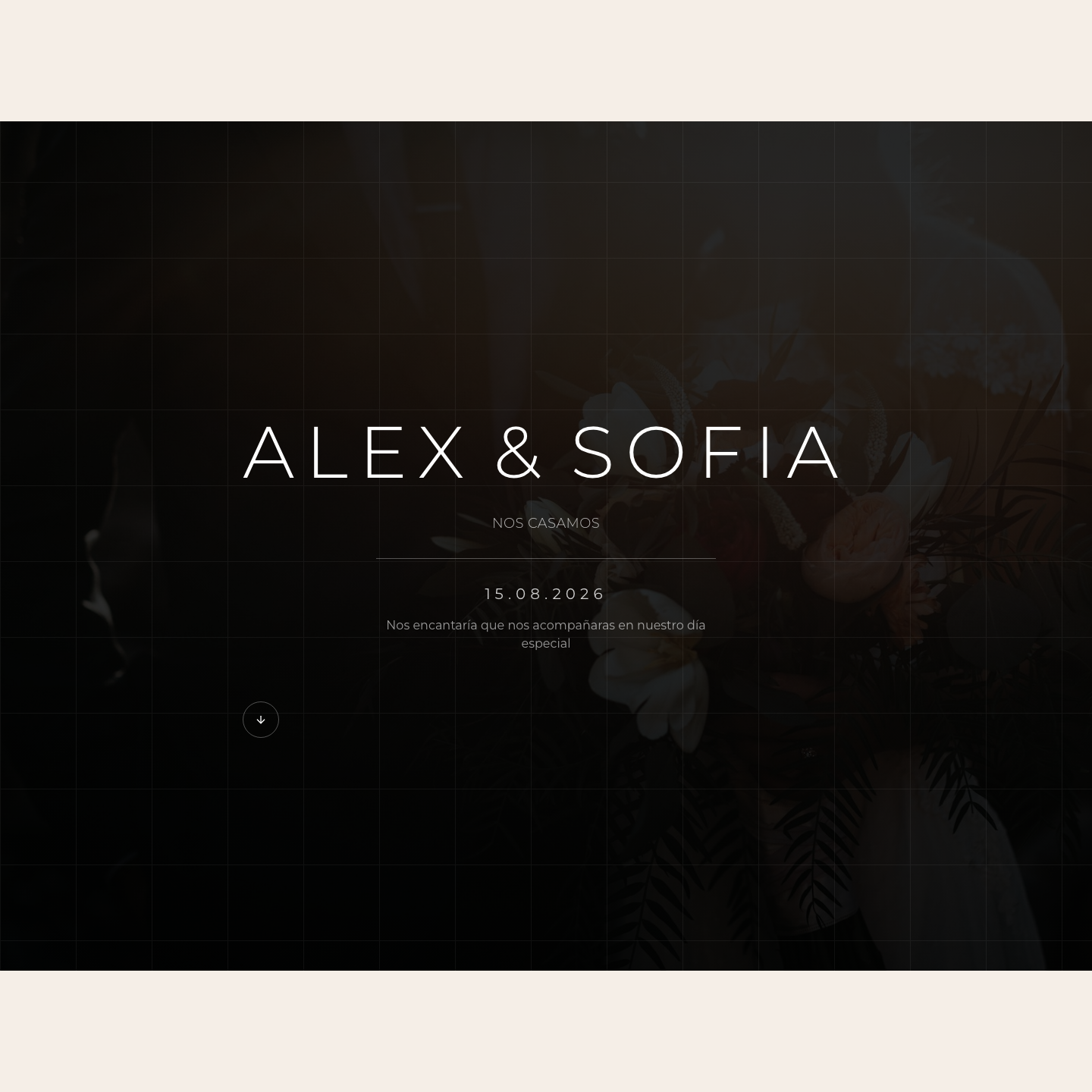 1) Estilo Minimalista Elegante